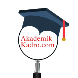 akademikkadro.com